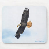 Foto van Soaring Bald Eagle Wildife Muismat (Voorkant)