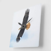 Foto van Soaring Bald Eagle Wildife Vierkante Klok (Hoek)
