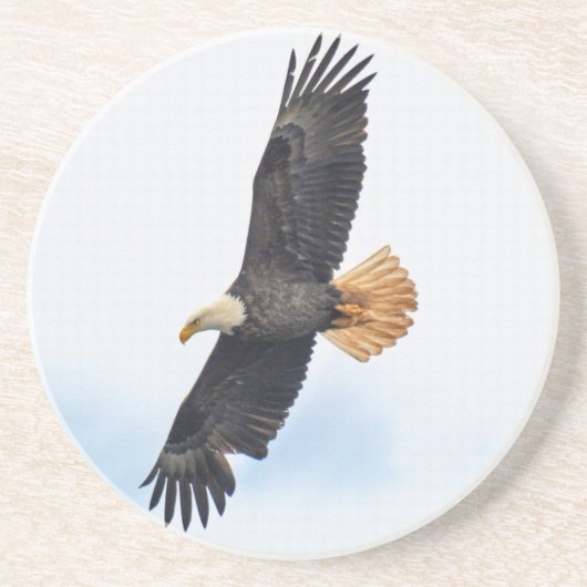Foto van Soaring Bald Eagle Wildife Zandsteen Onderzetter (Voorkant)
