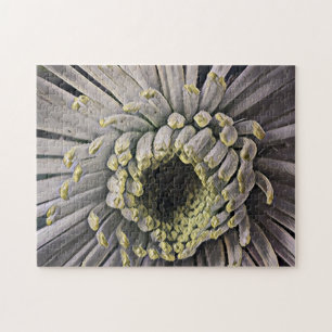 Foto van Spider Mum Garden Legpuzzel