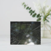 Foto van Spider's Web Natuur Briefkaart (Staand voorkant)