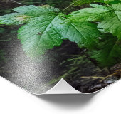 Foto van Spirit Beer Foto Afdruk (Hoek)