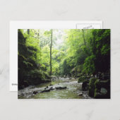 Foto van St. Nectans Glen Cornwall Briefkaart (Voorkant / Achterkant)