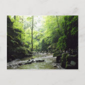 Foto van St. Nectans Glen Cornwall Briefkaart (Voorkant)