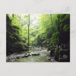 Foto van St. Nectans Glen Cornwall Briefkaart
