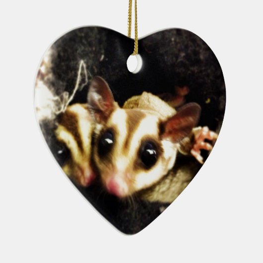 foto van suikerglijder keramisch ornament (Rechts)