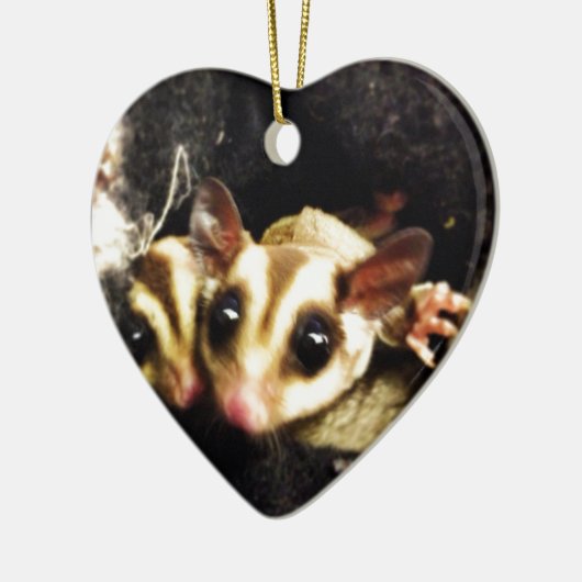 foto van suikerglijder keramisch ornament (Links)