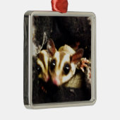 foto van suikerglijder metalen ornament (Rechts)