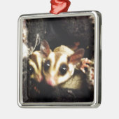 foto van suikerglijder metalen ornament (Links)