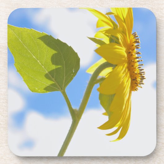 Foto van Sunflower Sky Bier Onderzetter (Voorkant)