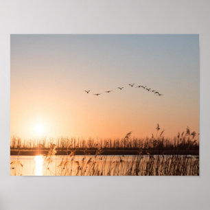 Foto van Sunrise Natuur Poster