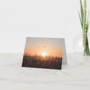 Foto van Sunrise Reed Natuur Kaart
