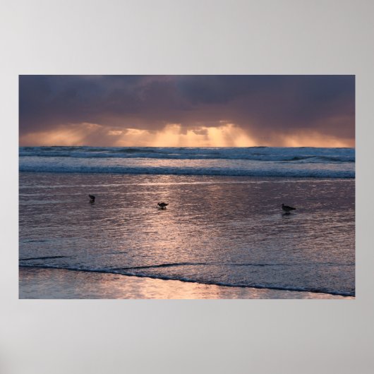 Foto van Sunset Coast Beach Birds Natuur Poster (Voorkant)