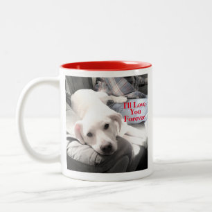Foto van Super Cute Puppy Dog Forever Love Red Tweekleurige Koffiemok