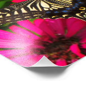 Foto van Swallowtail Butterfly Foto Afdruk (Hoek)