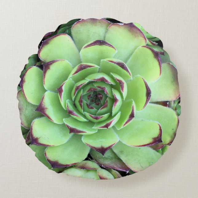 Foto van textuur van vetplant rond kussen (Voorkant)