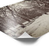  foto van The Mall, Central Park NY Afdruk (Hoek)