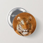 Foto van Tiger Portrait Ronde Button 5,7 Cm (Voorkant /achterkant)