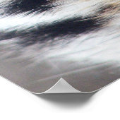 Foto van Tigers Eye Poster (Hoek)