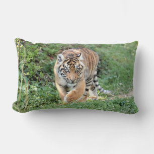 Foto van tijgerkat, dieren, kussen gooien