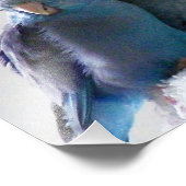 Foto van Tortelduifjes Pacific Parrotlet-vogelvrie Afdruk (Hoek)