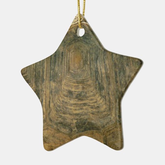 Foto van Tortoise Shell Natuur Keramisch Ornament (Links)