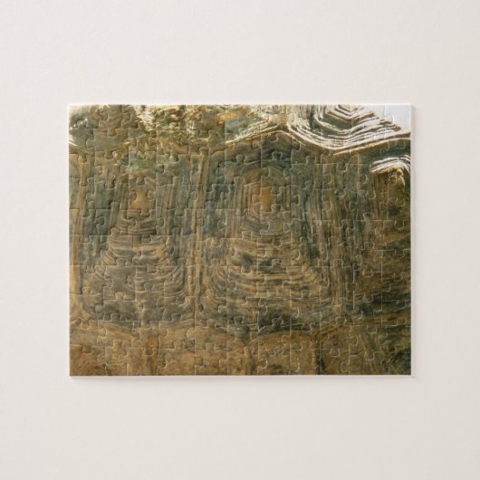 Foto van Tortoise Shell Natuur Legpuzzel (Horizontaal)