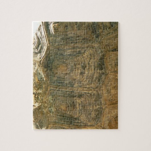 Foto van Tortoise Shell Natuur Legpuzzel (Verticaal)