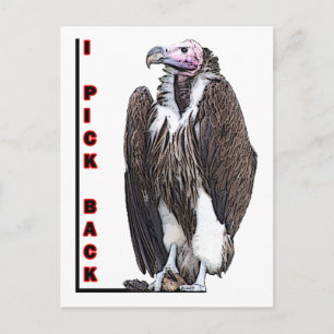 Foto van Turkey Vulture I Pick Back Posterized Briefkaart