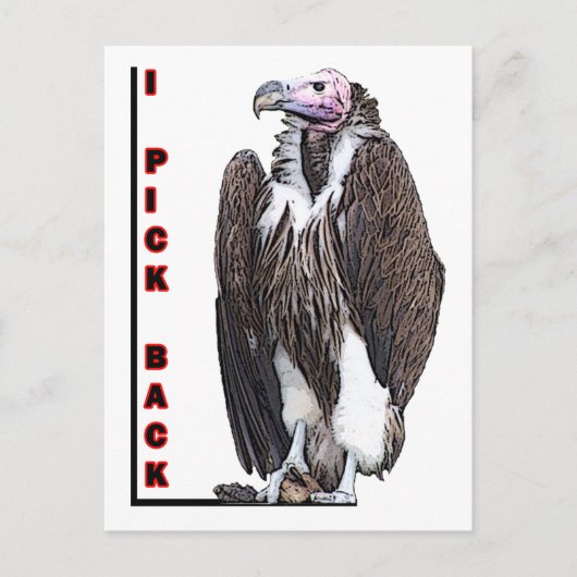 Foto van Turkey Vulture I Pick Back Posterized Briefkaart (Voorkant)