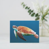 Foto van Turtle Blue Water Zee Briefkaart (Staand voorkant)