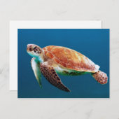 Foto van Turtle Blue Water Zee Briefkaart (Voorkant / Achterkant)