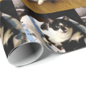 Foto van Tuxedo Cat op Kerst inpakpapier (Rol Hoek)