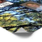 Foto van twee families Trees Pine Trees | Naam Pos Poster (Hoek)