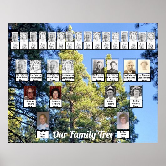 Foto van twee families Trees Pine Trees | Naam Pos Poster (Voorkant)