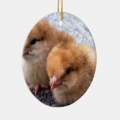 foto van twee rode eendagskuikens op rhode keramisch ornament (Rechts)