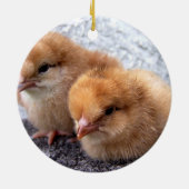 foto van twee rode eendagskuikens op rhode keramisch ornament (Achterkant)