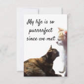 Foto van Two Cats with Valentijns's Purrfect Life (Voorkant)
