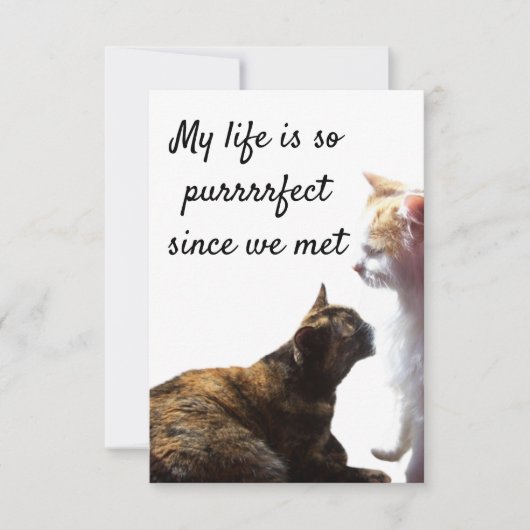 Foto van Two Cats with Valentijns's Purrfect Life (Voorkant)