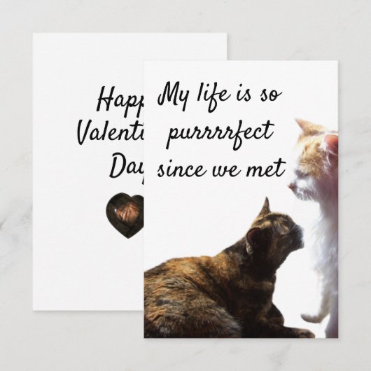 Foto van Two Cats with Valentijns's Purrfect Life (Voorkant / Achterkant)