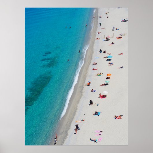 Foto van uitzicht van vogelaars op het strand poster (Voorkant)
