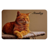 Foto van uw huisdier Sjabloon Voeg naam 4 x 6 Magneet (Horizontaal)