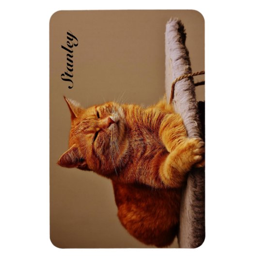 Foto van uw huisdier Sjabloon Voeg naam 4 x 6 Magneet (Verticaal)