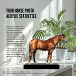 Foto van uw paard Acrylstatus Staand Fotobeeldje<br><div class="desc">"Your Horse Photo Acrylic Beeldjes Cutout" biedt een unieke en gepersonaliseerde manier om uw geliefde paard te tonen! Gebruik een van de vele gratis online tools die beschikbaar zijn, verwijder eenvoudig de achtergrond van uw foto en upload vervolgens het uitsnijdbare afbeelding naar ons. Wij zorgen voor de rest, het creëren...</div>