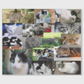 Foto van verschillende katten cadeaupapier (Vlak)