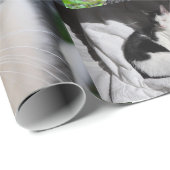 Foto van verschillende katten cadeaupapier (Rol Hoek)