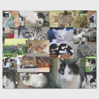 Foto van verschillende katten cadeaupapier