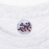 Foto van verse rode kersen labels (Aangebracht)