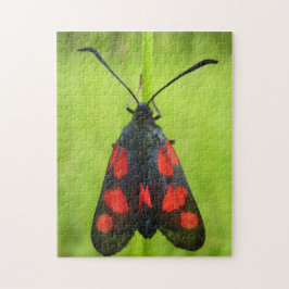 Foto van vijf potten met draagtas: Puzzle met cade Legpuzzel