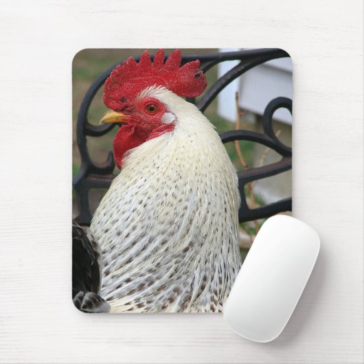 Foto van vijf tenes Rooster Muismat (Met muis)